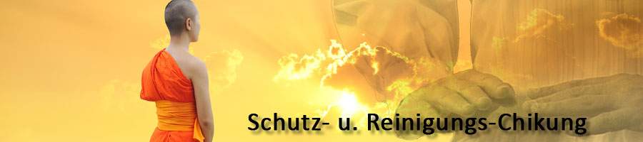 Schutz Reinigung