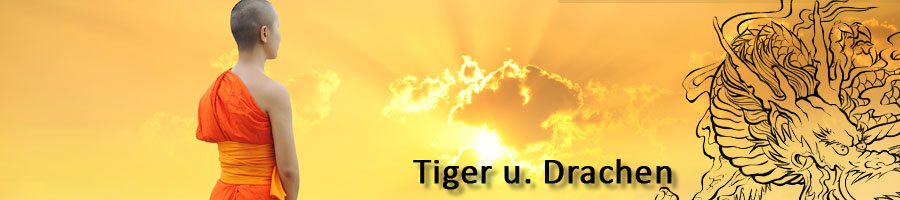 Tiger Drachen
